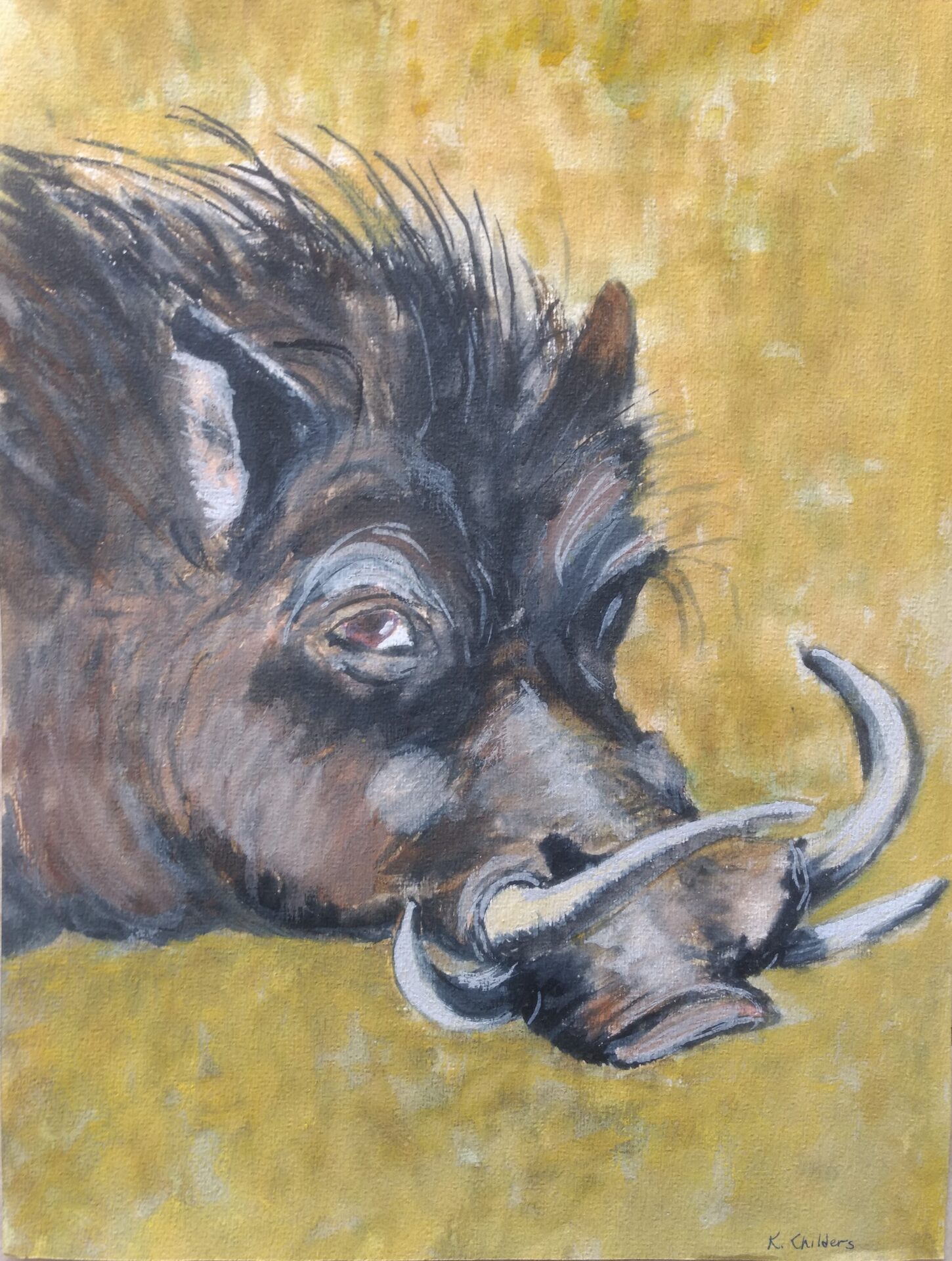 Boar